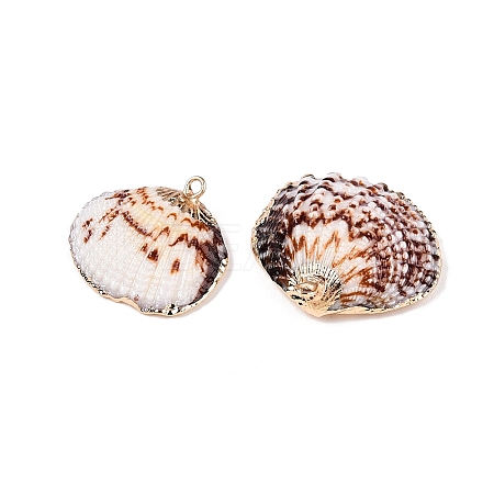 Electroplated Edge Natural Sea Shell Pendants SSHEL-N038-19-1