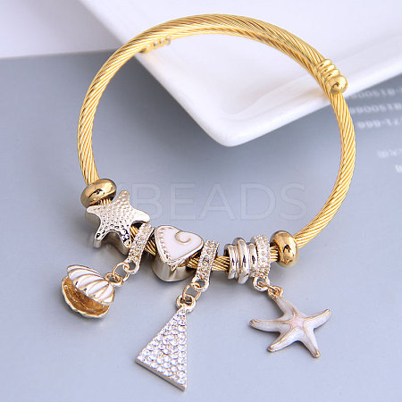 Adjustable Stainless Steel European Bangles FS-WGF3825-01-1