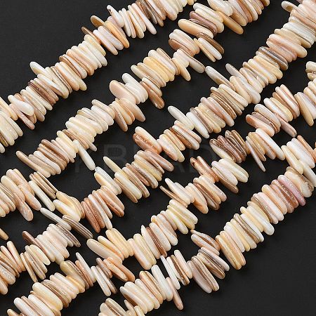 Natural Shell Beads Strands SHEL-D002-01A-1
