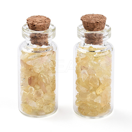 Glass Wishing Bottle Display Decorations AJEW-T013-02A-1