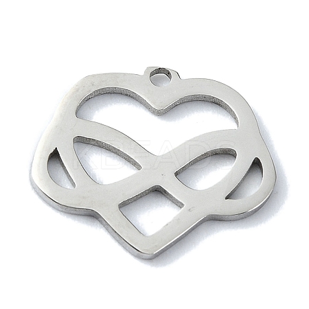 Non-Tarnish 304 Stainless Steel Pendants LS-STAS-C097-21P-1