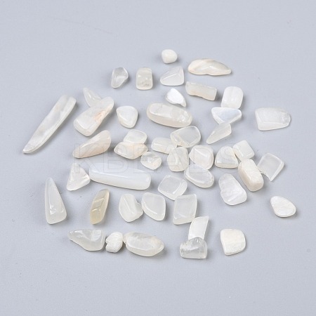 Natural White Moonstone Beads G-I304-04-1