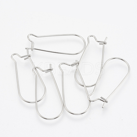 Tarnish Resistant 304 Stainless Steel Hoop Earrings STAS-T031-02-1