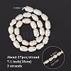  3 Strands Natural Cultured Freshwater Pearl Beads Strands PEAR-NB0002-25-2