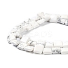 Natural Howlite Beads Strands G-K337-05-3