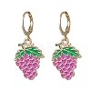 9 Pairs 9 Styles Alloy Enamel Banana Strawberry Grapes Fruit Dangle Leverback Earrings EJEW-JE06557-5