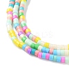 Handmade Lampwork Beads Strands LAMP-L078-008I-3