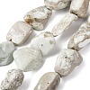 Natural Variscite Beads Strands G-D098-C09-2