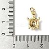 Brass Micro Pave Cubic Zirconia Charms KK-I276-37G-3