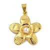 Ion Plating(IP) 304 Stainless Steel Pendants STAS-U024-G-02B-1