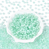 600Pcs Glass Seed Beads SEED-PA0001-17C-4