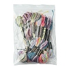 12 Skeins 6 Colors 6-Ply Polyester Embroidery Floss OCOR-FS0001-01B-03-6