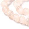 Natural Selenite Beads Strands G-C142-01A-08-4