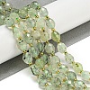 Natural Prehnite Beads Strands G-N342-43-2