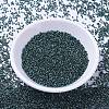 MIYUKI Delica Beads X-SEED-J020-DB1006-2