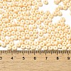 Baking Paint Glass Seed Beads X1-SEED-B001-02A-09-4