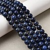 Natural Sodalite Beads Strands G-P582-8mm-02-1
