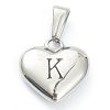 304 Stainless Steel Pendants LS-STAS-P278-01K-P-1