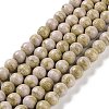Natural Rainbow Alashan Agate Beads Strands G-NH0022-A02-01-1