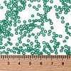 TOHO 8/0 Round Beads SEED-JPTR08-0072F-4