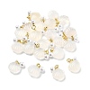Natural Agate Shell Shaped Pendants LS-G-U025-06G-1