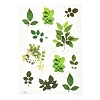 Waterproof Plastic Self Adhesive Stickers DIY-F064-13A-1