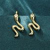 Snake Brass Micro Pave Cubic Zirconia Dangle Earrings EJEW-G425-04G-01-2