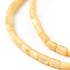 Natural Freshwater Shell Dyed Beads Strands X-SHEL-M018-12-01-3
