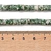 Natural Green Spot Jasper Beads Strands G-M420-A18-01-5