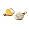 304 Stainless Steel Enamel Pendants STAS-B097-23G-2