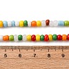Handmade Lampwork Beads Strands BLOW-K001-01A-07-3