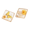 Transparent Epoxy Resin & Printed Pendants KK-F074-01-3