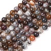 Natural Botswana Agate Beads Strands G-G453-A01-8mm-2