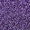 MIYUKI Delica Beads SEED-MY11-DB2168-3