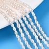 Natural Cultured Freshwater Pearl Beads Strands PEAR-T006-07-1
