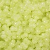 Transparent Colours Glass Seed Beads SEED-R001-01M-2