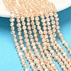 Natural Cultured Freshwater Pearl Beads Strands PEAR-C004-19B-03-1