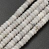 Natural Labradorite Beads Strands G-L635-A05-4x2mm-3