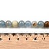 Natural Blue Calcite Beads Strands G-H312-C02-8mm-5