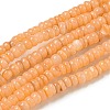 Dyed Natural Freshwater Shell Beads Strands BSHE-G039-07A-1