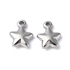 Non-Tarnish 304 Stainless Steel Charms X-STAS-C066-19P-1