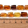 Gradient Color Natural Amber Beads Strands G-F803-D01-02-6