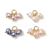 Natural Cultured Freshwater Pearl 3 Potato Charms PALLOY-JF04878-1