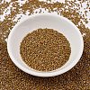 MIYUKI Delica Beads SEED-J020-DB2273-2
