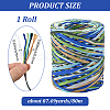 Segment Dyed Raffia Paper Cords for DIY Craft OCOR-WH20020-27B-2
