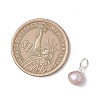 Natural Cultured Freshwater Pearl Two Sides Polished Charms PALLOY-JF04916-02-2