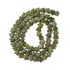 Natural Chinese Jade Beads Strands G-H087-C04-01-3
