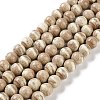 Natural Rainbow Alashan Agate Beads Strands G-NH0022-A10-02-1