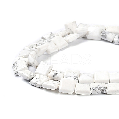 Natural Howlite Beads Strands G-K337-05-1