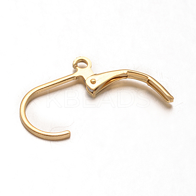 Ion Plating(IP) 304 Stainless Steel Leverback Earring Findings STAS-G130-19G-1